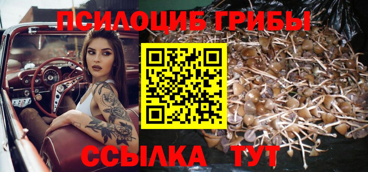 Галлюциногенные грибы ЛСД Осинники