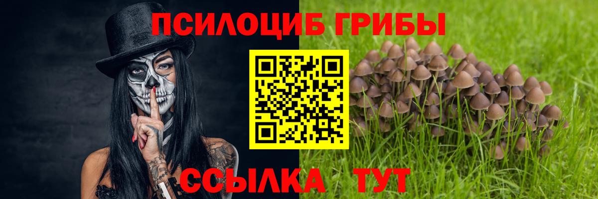 Псилоцибиновые грибы мицелий  Вход с VPN  Осинники 